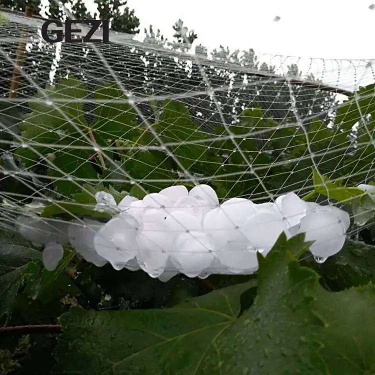 PE protezione in plastica antigrandine a prova di gelo rete a maglie rotonde per agricoltura colture di protezione della frutta pianta di melo
