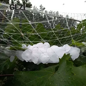 PE plastik melindungi antihail tahan hujan es bersih frost bulat jala jaring untuk pertanian tanaman buah perlindungan apple pohon tanaman