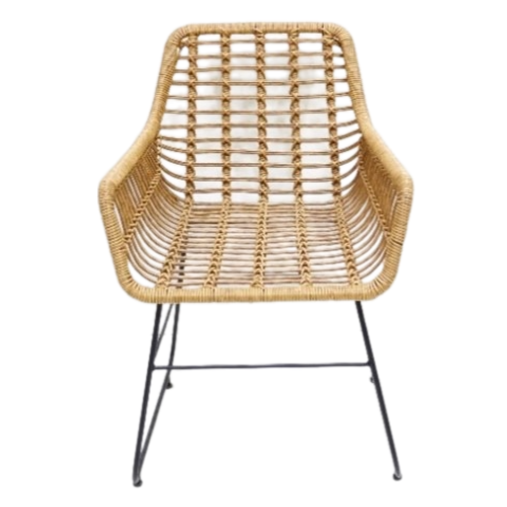 ธรรมชาติ