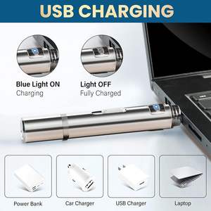 Venta caliente de alta calidad USB interactivo gato juguetes estilo clásico láser pluma gato Teaser ejercitador juguete de entrenamiento precio al por mayor - Product Image 3