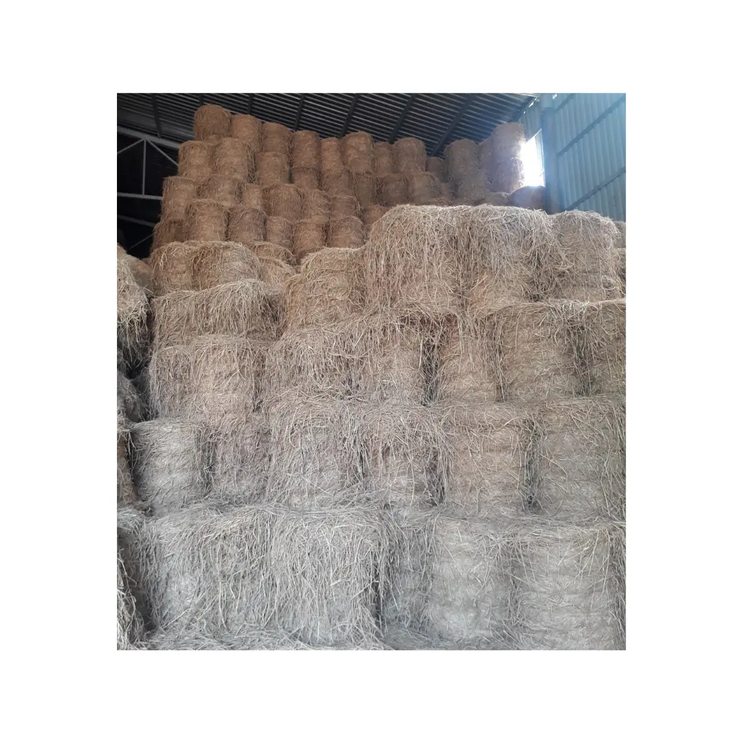 [ Best choice] RICE STRAW for animal feed in Vietnam Material to growing mushroom with High Quality