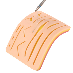 Kits chirurgicaux de qualité supérieure MEDIHEAL SURGICAL CORPORATION Classe I, 5 pièces : ciseaux en acier, pince à épiler, détartreur, forceps et autres instruments chirurgicaux - Product Image 3
