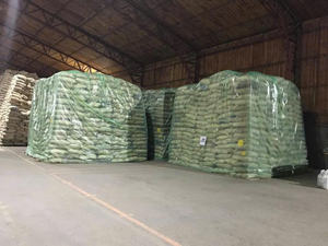 Granos de Café Verde Arábica de Alta Calidad de Vietnam |   Granos Enteros Sin Tostar |   Suministro al por Mayor - Product Image 4