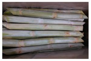 Bâtons de canne à sucre congelés de haute qualité pour le jus de canne à sucre avec le prix bon marché de 99GD Viet Nam pour l'exportation - Product Image 5