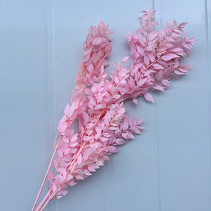 Hojas de <span class=keywords><strong>Eucalipto</strong></span> Secas y Blanqueadas al por Mayor, Tipo Ruscus Italiano, Pequeñas, para Ramos de Boda, Jarrones Decorativos y Decoración de Temporada - Product Image 4