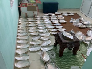 Assiette en nacre, assiettes en coquillage, Caviar, conque, récipient alimentaire, accessoires de haute qualité, plat d'exposition - Product Image 3