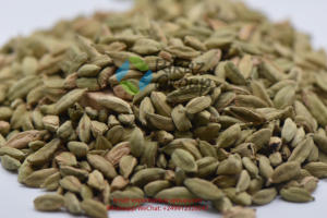 Cardamomo verde fresco de origen directo de Tanzania para agricultura-para mayoristas - Product Image 4