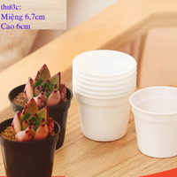 Vente en gros Prix compétitif Mini pots de plantes Pots de plantes ronds personnalisés depuis Vietnam Fabricant
