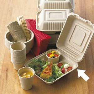 Envase Desechable de Bagazo 9x9 al por Mayor para Comida para Llevar de Restaurantes - Product Image 2