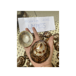 ข้อมูลสีทอง99ของเวียดนามมีแผ่นเปลือกแข็งสำหรับตกแต่งและงานประดิษฐ์ด้วยดีไซน์เปลือกธรรมชาติ - Product Image 5