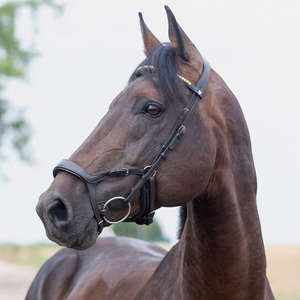 FANTAISIE DÉCORATIF JUMPING HORSE BRIDLE FABRICANT CHEVAL camouflage à la mode Fantaisie Amovible Brow band bride Cheval mode - Product Image 1