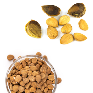 Nettoyez les noyaux amers d'abricot de finition pour la fabrication d'huile essentielle dans des produits d'agriculture - Product Image 3