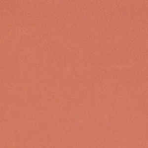 Nouveau haute qualité femmes débardeur 100% coton respirant séchage rapide coton sans manches débardeur pour vêtements de sport femmes - Product Image 6