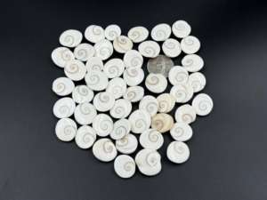 AAA + alta calidad 100% Natural ShivaEye cabujón tamaño personalizado mezcla forma blanco piedras preciosas sueltas joyería hacer lote disponible - Product Image 4