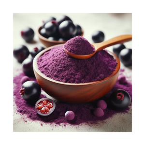 Fournisseur en gros Herbojit International – Poudre de Jamun naturelle séchée par pulvérisation, qualité alimentaire, soluble dans l'eau, biologique, fabriquée en Inde - Product Image 2