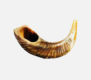 Auténtico Shofar de Cuerno de Búfalo Natural Pulido a Mano con Relieves Tallados a Mano y Tonos Miel Profundos Tradicionales - Product Image 2
