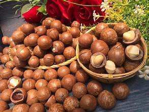HIGH FIBER <b>MACADAMIA</b> KERNEL WHOLE <b>NUT</b> CLEAN PLANT BASED KETO FRIENDLY - Product Image 5