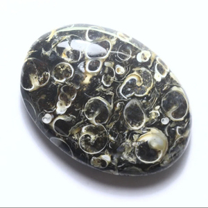 Cabochon d'agate de Turritella véritable de forme ovale pour la fabrication de bijoux Belle pierre précieuse d'agate de Turritella lisse polie Cadeau pour elle - Product Image 1