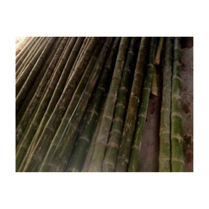 Poteaux de bambou de qualité supérieure du Vietnam parfaits pour le jardinage, poteaux de bambou naturels durables poteaux de bambou robustes pour le soutien des plantes - Product Image 1