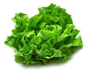 Lechuga de Tallo Fresco de Nueva Cosecha 2026, Lechuga Espárrago, Suministro de Fábrica, Precio Bajo, Venta al por Mayor a Granel, Calidad de Exportación - Product Image 2