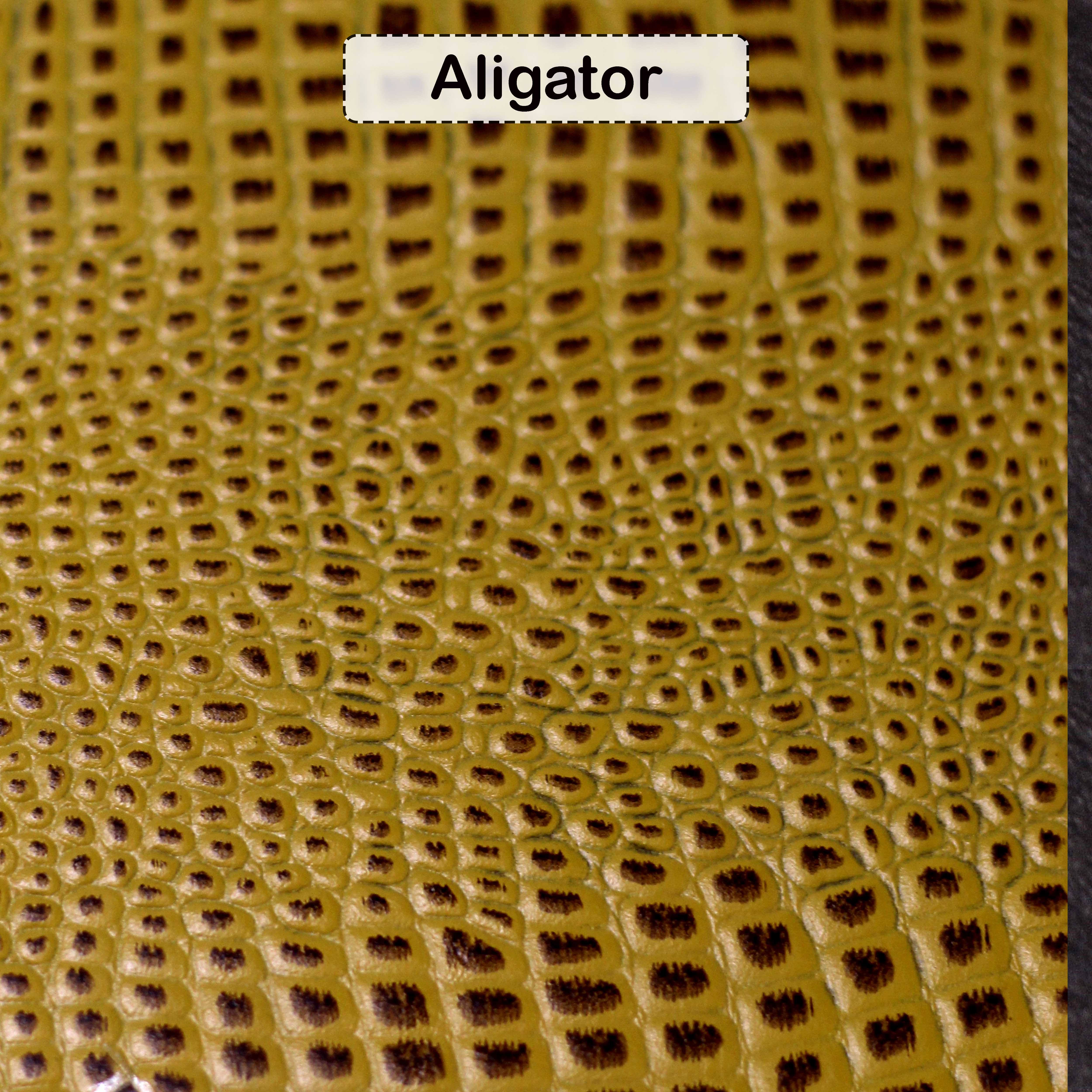 Alligator