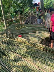 Vente en gros de bâtons de bambou bon marché du fournisseur de produits agricoles du Vietnam Bao Tram Anh - Product Image 2