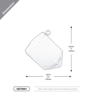 GET8001 - Terrario Geométrico Hexagonal de Vidrio sin Marco - 6 H (6 piezas) - Product Image 3