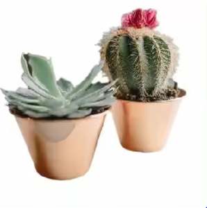 Juego de 2 macetas y macetas de flores martilladas de forma redonda, macetas y macetas decorativas para jardín de granja para proveedores - Product Image 6