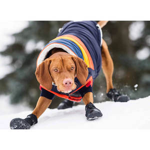 Botas para Perro Elasto-Fit con Diseño Sólido en Negro, Estilos Clásico y Moderno, Zapatos para Mascotas para Verano e Invierno - Product Image 6