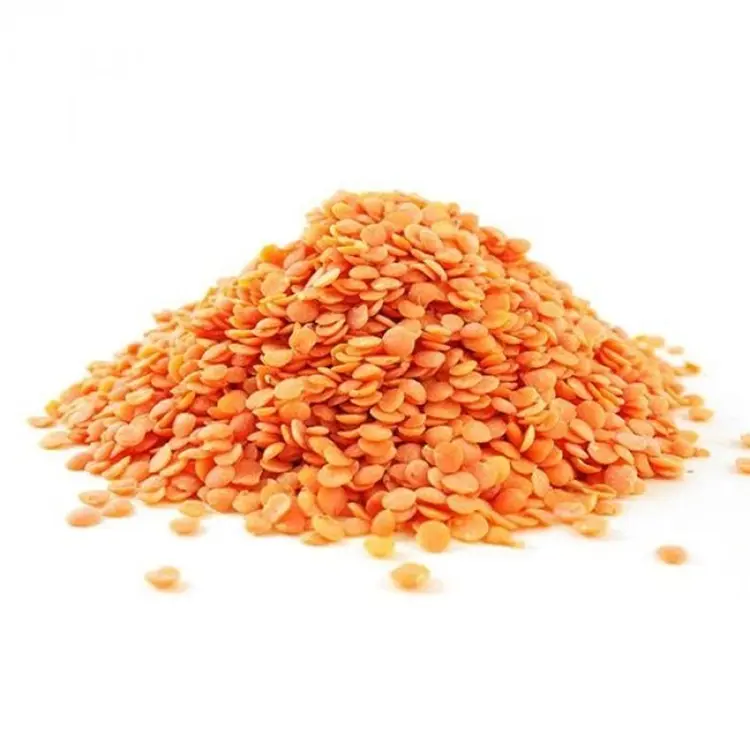 Fornecedores de lentilhas vermelhas secas 100% de qualidade, feijão de lentilhas vermelhas do Canadá em quantidade a granel