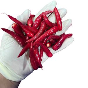 Chiles Rojos Congelados y Criopreservados de Primera Calidad al por Mayor, IQF, Especias Picantes, 10 kg para una Excelencia Culinaria - Product Image 1