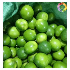 Citron vert sans pépins de qualité supérieure, agrumes frais, juteux et cultivés naturellement pour la cuisine et les boissons, citron vert frais sans pépins au meilleur prix - Product Image 2