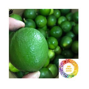 Limón Fresco sin Semillas de Vietnam, Suministro Diario, Limón Fresco sin Semillas, Cítrico Verde Jugoso, Venta al por Mayor, Pedidos al por Mayor Disponibles con Oferta Especial - Product Image 3