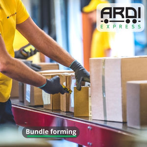 ARDI Express offre une préparation FBA rapide et fiable, y compris des <span class=keywords><strong>services</strong></span> de polybagging et de regroupement dans le New Jersey - Product Image 4