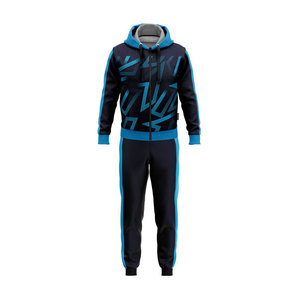 Survêtements personnalisables respirants à la coupe ajustée pour hommes, vêtements de sport à capuche décontractés avec logo personnalisé, service OEM - Product Image 2