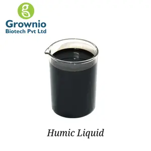 Best Quality Granular Humic Fertilizer with 70% Organic Matter Helps to Improve Soil Quality Available at Affordable Price