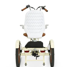 Best Pedal <b>Electric</b> <b>Tricycle</b> Fat Tire Trike - Product Image 3