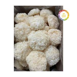 Tremella Fuciformis (Hongo de las Nieves/Oreja de Nieve) Seca Entera |   Setas Veganas de Cocción Instantánea |   Color Blanco |   Procesado por FD |   12-15 - Product Image 1