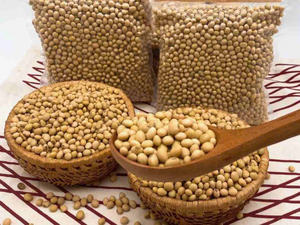 Snack de soja rôti croquant de haute qualité du Vietnam goût de noisette et savoureux emballage en vrac de style séché - Product Image 5