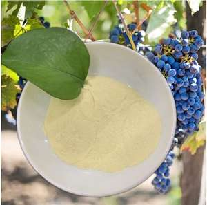 Meyve sebze bitkileri için % Amino asit tozu organik gübre yüksek azot % 80% hidrolisat proteini - Product Image 2