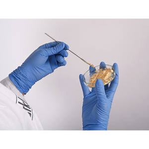 Espátula de Acero Inoxidable para Micropartículas, Doble Cara, Forma de Media Copa, para Manipulación Precisa de Muestras, Hecho en Alemania - Burkle GmbH - Product Image 2