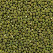 Suministro a granel de frijoles mungo verdes orgánicos de grado premium limpios - Product Image 5