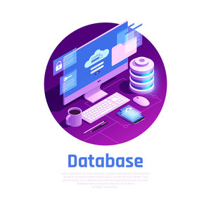 Servicios de bases de datos personalizados para la organización y gestión de datos, y soporte de flujo de trabajo de bases de datos para aplicaciones empresariales - Product Image 1