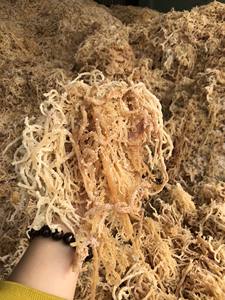 Musgo de mar marrón seco/Algas de musgo irlandés/Algas de Chondrus Crispus Eucheuma Cottonii de 99 Gold Data Vietnam - Product Image 5