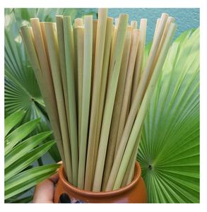 Pailles à gazon jetables et biodégradables/alternative écologique aux pailles en plastique - Product Image 3