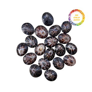 Las cáscaras de Lapa naturales se limpian y clasifican por tamaño adecuado para la recolección de envases a granel y el uso general sin consumo - Product Image 5