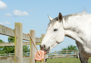 Groothandel 2025 100% natuurlijke pure Himalaya zoutlepel voedingsblok, gecomprimeerd touwvoer voor rundvee, honden en paarden. - Product Image 2