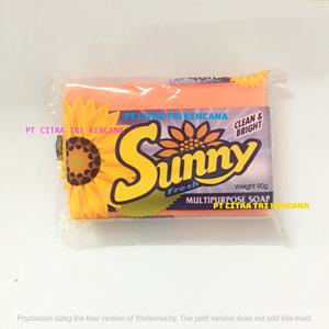 LIMPIEZA DE LIMÓN 800 GRAMOS JABÓN MULTIUSOS LAVADO CUERPO DE DUCHA DETERGENTE BARRA DE LAVANDERÍA JABÓN MEJOR EN Recife BRASIL AMÉRICA DEL SUR - Product Image 5