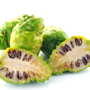 Vente en gros bon prix fruits noni surgelés livraison rapide - Product Image 1