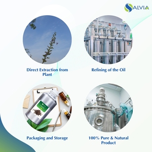 Nirgundi Oil 100% pur et naturel en gros en vrac prix le plus bas emballage personnalisé - Product Image 4